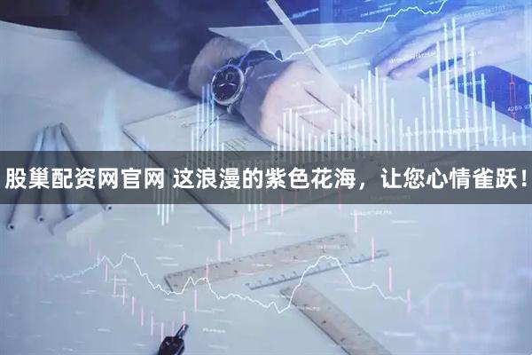 股巢配资网官网 这浪漫的紫色花海，让您心情雀跃！