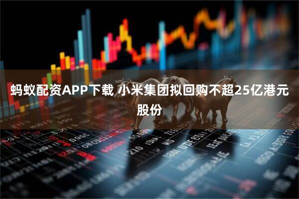 蚂蚁配资APP下载 小米集团拟回购不超25亿港元股份