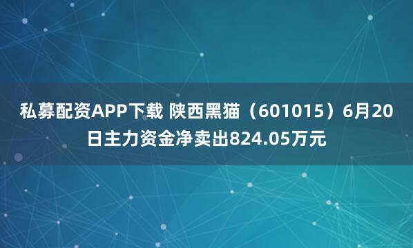 私募配资APP下载 陕西黑猫（601015）6月20日主力资金净卖出824.05万元