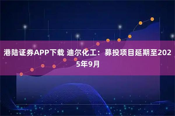 港陆证券APP下载 迪尔化工：募投项目延期至2025年9月