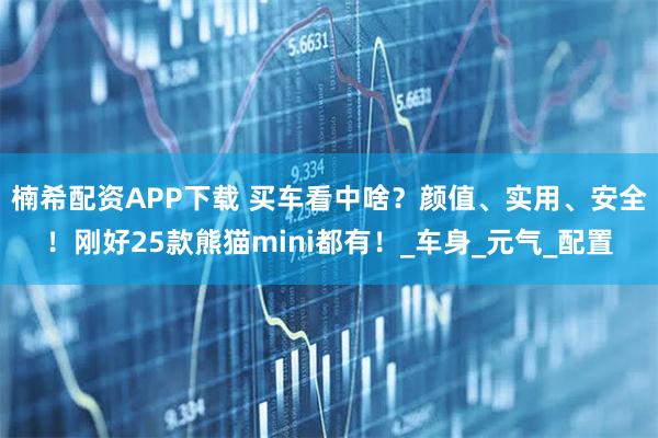 楠希配资APP下载 买车看中啥？颜值、实用、安全！刚好25款熊猫mini都有！_车身_元气_配置