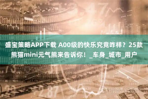 盛宝策略APP下载 A00级的快乐究竟咋样？25款熊猫mini元气熊来告诉你！_车身_城市_用户