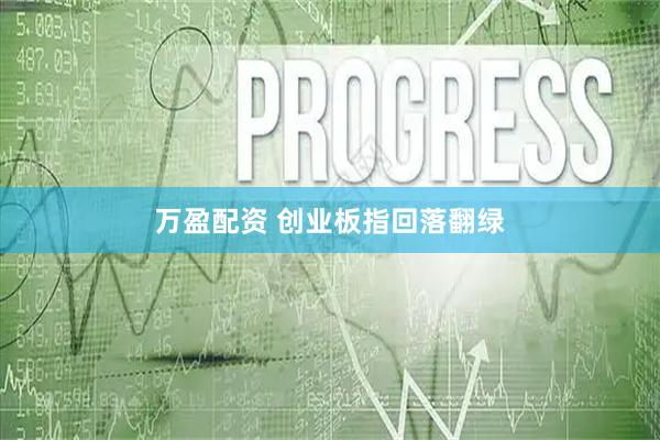 万盈配资 创业板指回落翻绿