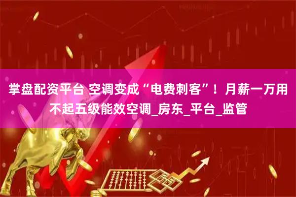 掌盘配资平台 空调变成“电费刺客”！月薪一万用不起五级能效空调_房东_平台_监管