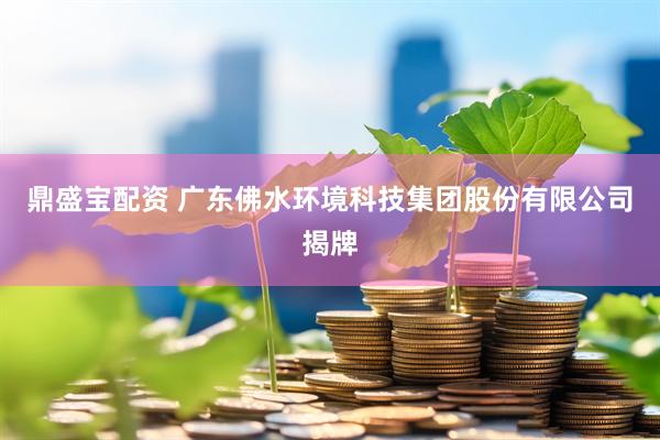 鼎盛宝配资 广东佛水环境科技集团股份有限公司揭牌