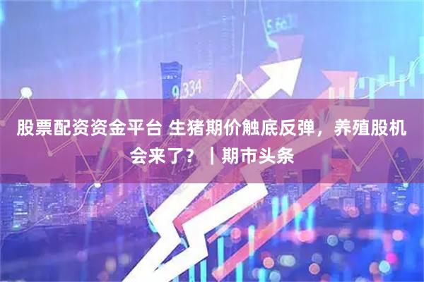 股票配资资金平台 生猪期价触底反弹，养殖股机会来了？｜期市头条
