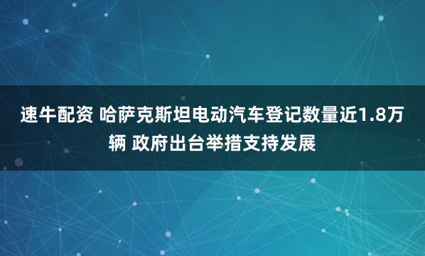 速牛配资 哈萨克斯坦电动汽车登记数量近1.8万辆 政府出台举措支持发展